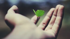 Term vs. Permanent Life Insurance: Understanding Your Options
